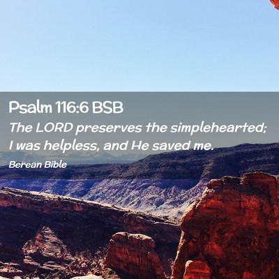 Picture 02 - Psalm 116:6 BSB - The LORD preserves the simplehearted; I was - Bible Verse Picture