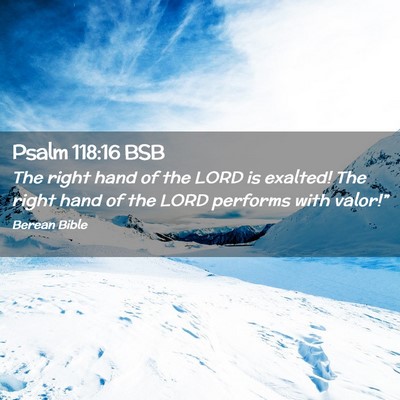 Picture 02 - Psalm 118:16 BSB - The right hand of the LORD is exalted! The right - Bible Verse Picture
