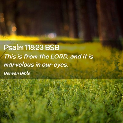 Picture 02 - Psalm 118:23 BSB - This is from the LORD, and it is marvelous in our - Bible Verse Picture