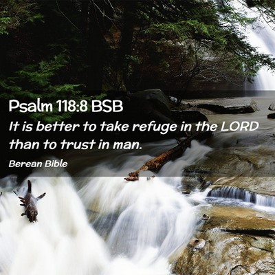 Picture 02 - Psalm 118:8 BSB - It is better to take refuge in the LORD than to - Bible Verse Picture