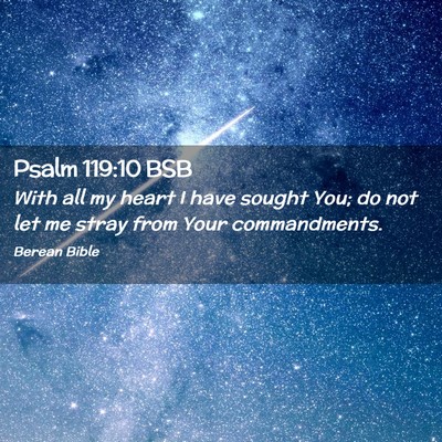 Picture 02 - Psalm 119:10 BSB - With all my heart I have sought You; do not let - Bible Verse Picture