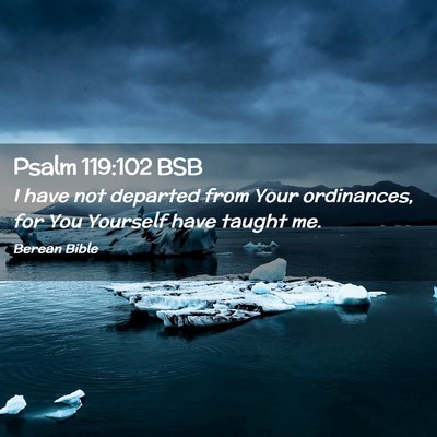 Picture 02 - Psalm 119:102 BSB - I have not departed from Your ordinances, for You - Bible Verse Picture