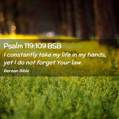 Picture 02 - Psalm 119:109 BSB - I constantly take my life in my hands, yet I do - Bible Verse Picture