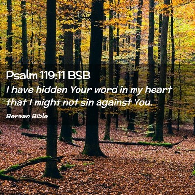 Picture 02 - Psalm 119:11 BSB - I have hidden Your word in my heart that I might - Bible Verse Picture