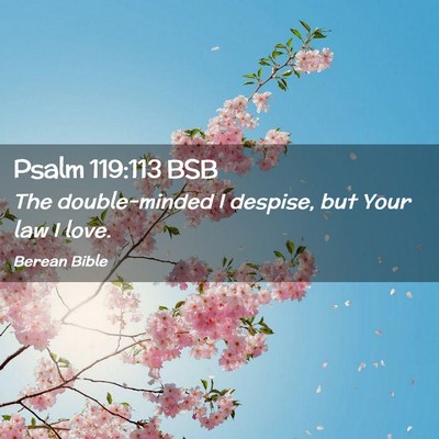 Picture 02 - Psalm 119:113 BSB - The double-minded I despise, but Your law I - Bible Verse Picture