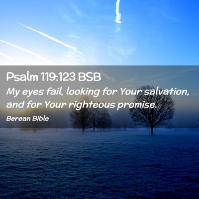 Picture 02 - Psalm 119:123 BSB - My eyes fail, looking for Your salvation, and for - Bible Verse Picture