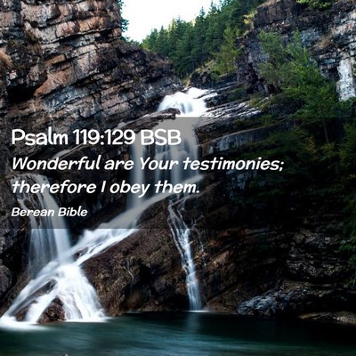 Picture 02 - Psalm 119:129 BSB - Wonderful are Your testimonies; therefore I obey - Bible Verse Picture