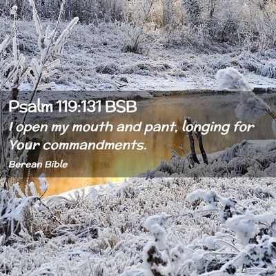 Picture 02 - Psalm 119:131 BSB - I open my mouth and pant, longing for Your - Bible Verse Picture