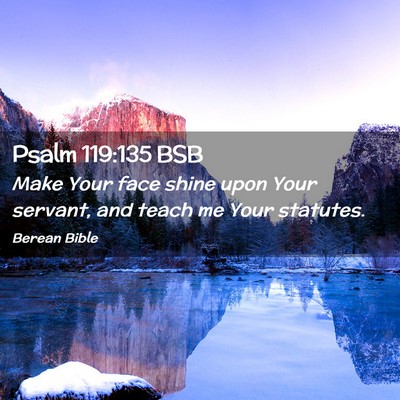Picture 02 - Psalm 119:135 BSB - Make Your face shine upon Your servant, and teach - Bible Verse Picture