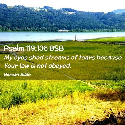 Picture 02 - Psalm 119:136 BSB - My eyes shed streams of tears because Your law is - Bible Verse Picture