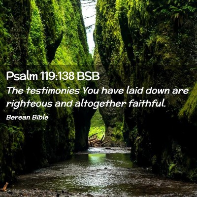 Picture 02 - Psalm 119:138 BSB - The testimonies You have laid down are righteous - Bible Verse Picture