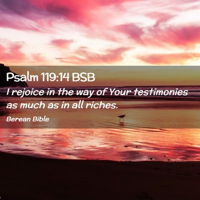 Picture 02 - Psalm 119:14 BSB - I rejoice in the way of Your testimonies as much - Bible Verse Picture