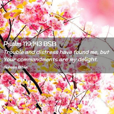 Picture 02 - Psalm 119:143 BSB - Trouble and distress have found me, but Your - Bible Verse Picture