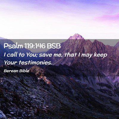 Picture 02 - Psalm 119:146 BSB - I call to You; save me, that I may keep Your - Bible Verse Picture