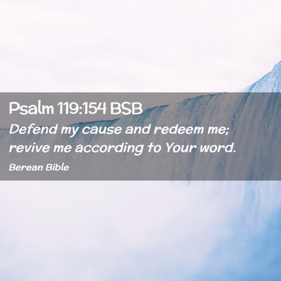 Picture 02 - Psalm 119:154 BSB - Defend my cause and redeem me; revive me - Bible Verse Picture