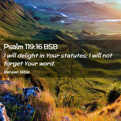 Picture 02 - Psalm 119:16 BSB - I will delight in Your statutes; I will not - Bible Verse Picture