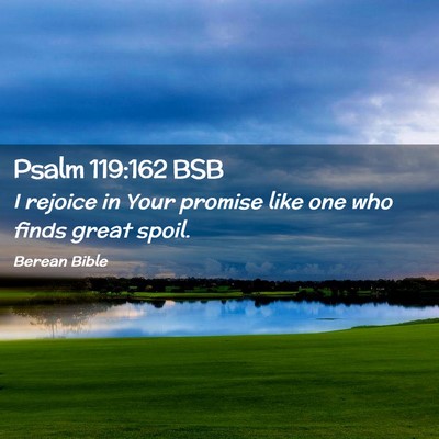 Picture 02 - Psalm 119:162 BSB - I rejoice in Your promise like one who finds - Bible Verse Picture