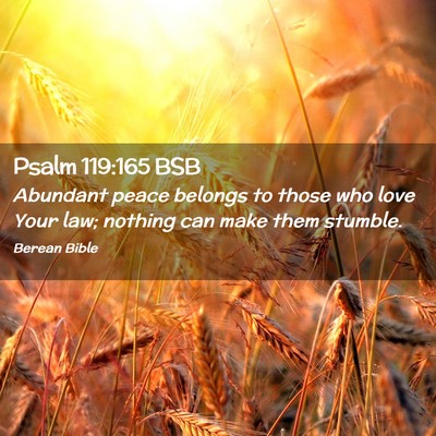 Picture 02 - Psalm 119:165 BSB - Abundant peace belongs to those who love Your - Bible Verse Picture