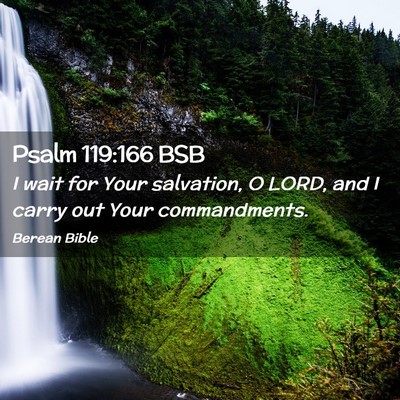 Picture 02 - Psalm 119:166 BSB - I wait for Your salvation, O LORD, and I carry - Bible Verse Picture