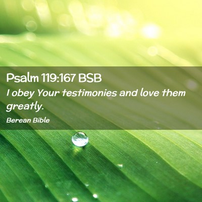 Picture 02 - Psalm 119:167 BSB - I obey Your testimonies and love them - Bible Verse Picture