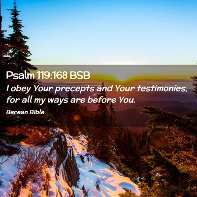 Picture 02 - Psalm 119:168 BSB - I obey Your precepts and Your testimonies, for - Bible Verse Picture