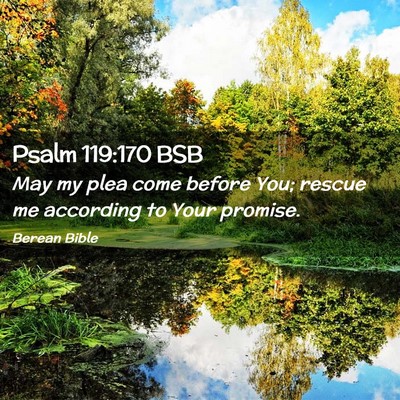 Picture 02 - Psalm 119:170 BSB - May my plea come before You; rescue me according - Bible Verse Picture