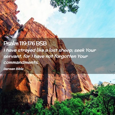 Picture 02 - Psalm 119:176 BSB - I have strayed like a lost sheep; seek Your - Bible Verse Picture
