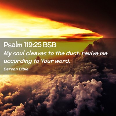 Picture 02 - Psalm 119:25 BSB - My soul cleaves to the dust; revive me according - Bible Verse Picture