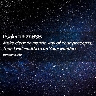 Picture 02 - Psalm 119:27 BSB - Make clear to me the way of Your precepts; then I - Bible Verse Picture