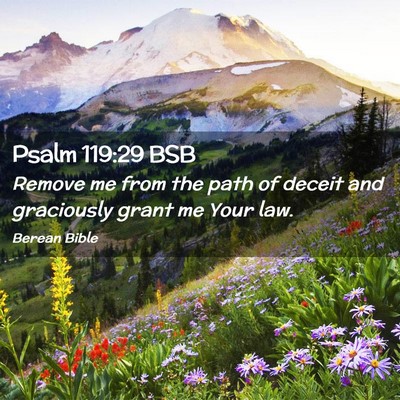 Picture 02 - Psalm 119:29 BSB - Remove me from the path of deceit and graciously - Bible Verse Picture