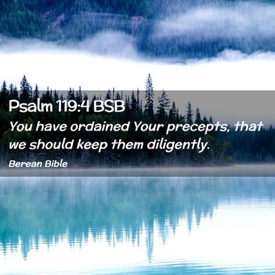 Picture 02 - Psalm 119:4 BSB - You have ordained Your precepts, that we should - Bible Verse Picture