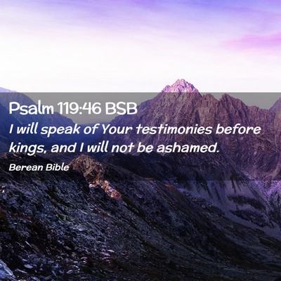 Picture 02 - Psalm 119:46 BSB - I will speak of Your testimonies before kings, - Bible Verse Picture