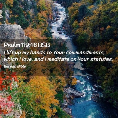Picture 02 - Psalm 119:48 BSB - I lift up my hands to Your commandments, which I - Bible Verse Picture