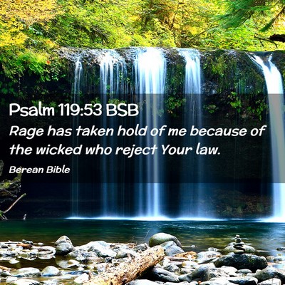 Picture 02 - Psalm 119:53 BSB - Rage has taken hold of me because of the wicked - Bible Verse Picture