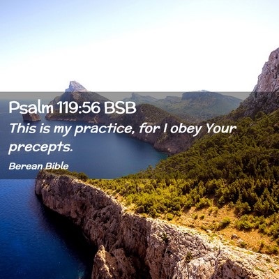 Picture 02 - Psalm 119:56 BSB - This is my practice, for I obey Your - Bible Verse Picture