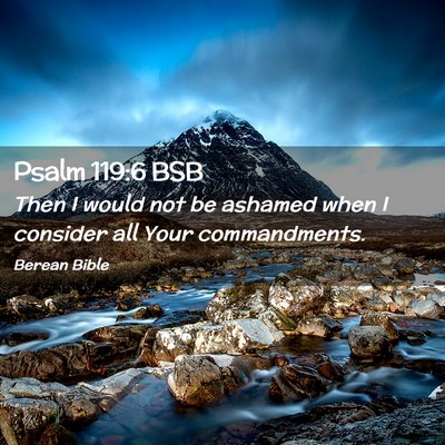 Picture 02 - Psalm 119:6 BSB - Then I would not be ashamed when I consider all - Bible Verse Picture