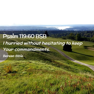 Picture 02 - Psalm 119:60 BSB - I hurried without hesitating to keep Your - Bible Verse Picture