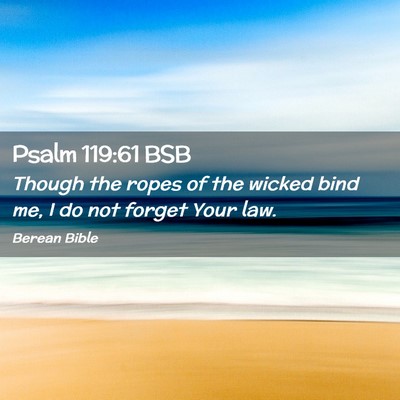 Picture 02 - Psalm 119:61 BSB - Though the ropes of the wicked bind me, I do not - Bible Verse Picture