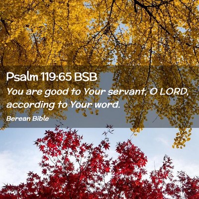 Picture 02 - Psalm 119:65 BSB - You are good to Your servant, O LORD, according - Bible Verse Picture