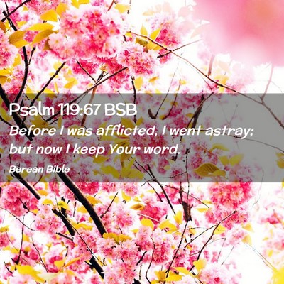 Picture 02 - Psalm 119:67 BSB - Before I was afflicted, I went astray; but now I - Bible Verse Picture
