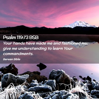 Picture 02 - Psalm 119:73 BSB - Your hands have made me and fashioned me; give me - Bible Verse Picture