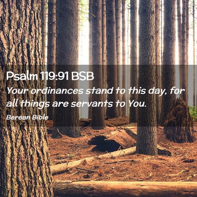 Picture 02 - Psalm 119:91 BSB - Your ordinances stand to this day, for all things - Bible Verse Picture