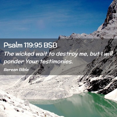 Picture 02 - Psalm 119:95 BSB - The wicked wait to destroy me, but I will ponder - Bible Verse Picture