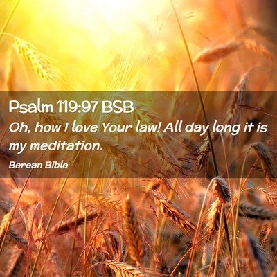 Picture 02 - Psalm 119:97 BSB - Oh, how I love Your law! All day long it is my - Bible Verse Picture
