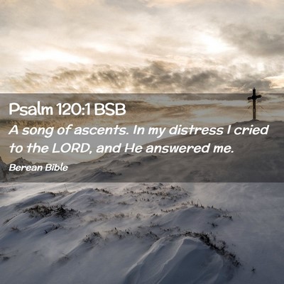 Picture 02 - Psalm 120:1 BSB - A song of ascents. In my distress I cried to the - Bible Verse Picture