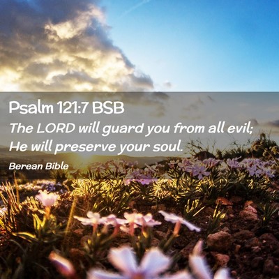 Picture 02 - Psalm 121:7 BSB - The LORD will guard you from all evil; He will - Bible Verse Picture