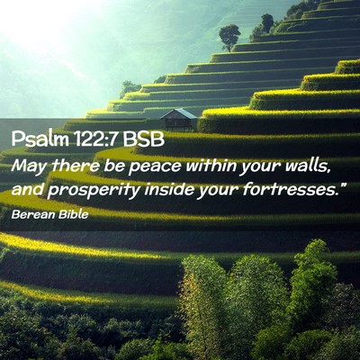Picture 02 - Psalm 122:7 BSB - May there be peace within your walls, and - Bible Verse Picture