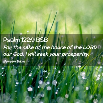 Picture 02 - Psalm 122:9 BSB - For the sake of the house of the LORD our God, I - Bible Verse Picture