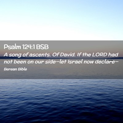Picture 02 - Psalm 124:1 BSB - A song of ascents. Of David. If the LORD had not - Bible Verse Picture