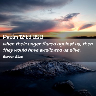 Picture 02 - Psalm 124:3 BSB - when their anger flared against us, then they - Bible Verse Picture